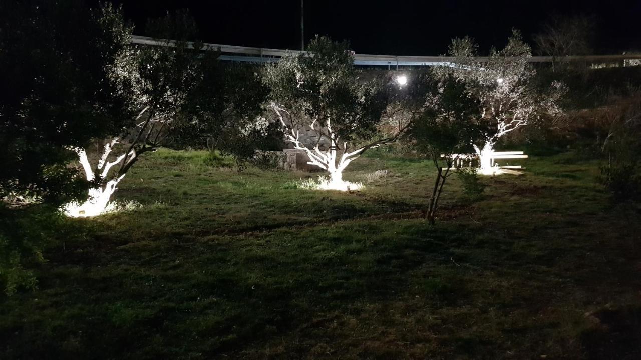 Kuca Za Odmor Jelena Βίλα Starigrad Paklenica Εξωτερικό φωτογραφία