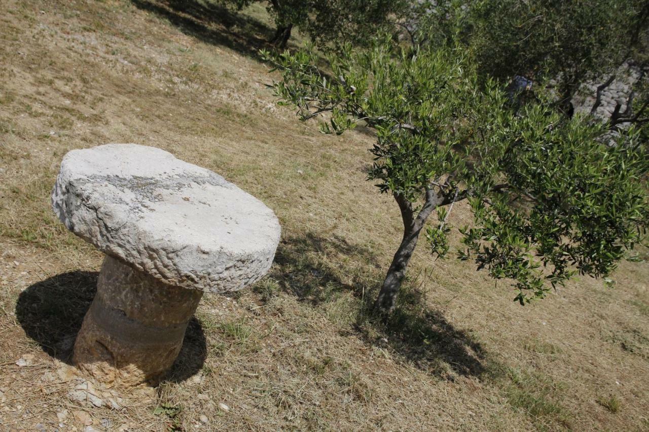 Kuca Za Odmor Jelena Βίλα Starigrad Paklenica Εξωτερικό φωτογραφία