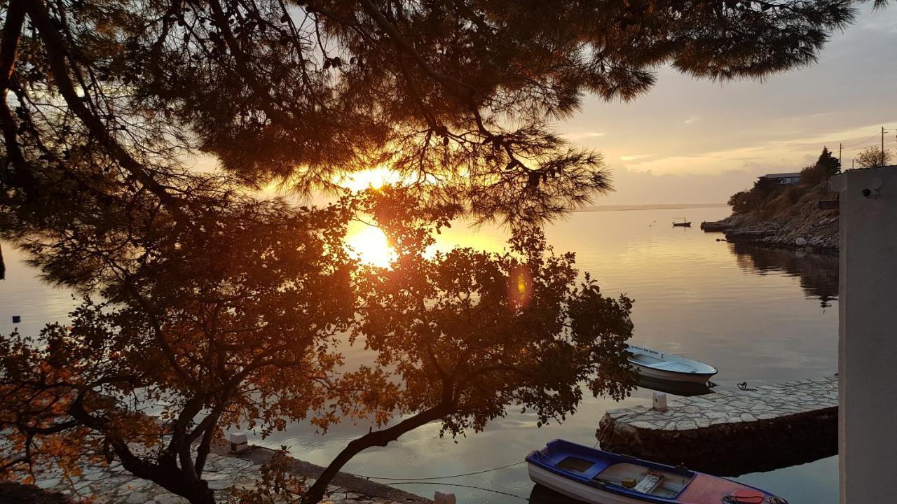 Kuca Za Odmor Jelena Βίλα Starigrad Paklenica Εξωτερικό φωτογραφία